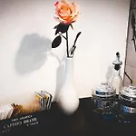 Casa Azzurra شقة لينّو